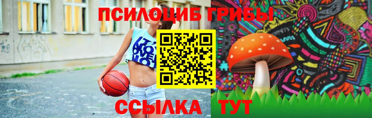 Великие Луки  Псилоцибиновые грибы Cubensis  Вход с VPN  сколько стоит  Галлюциногенные грибы мицелий 